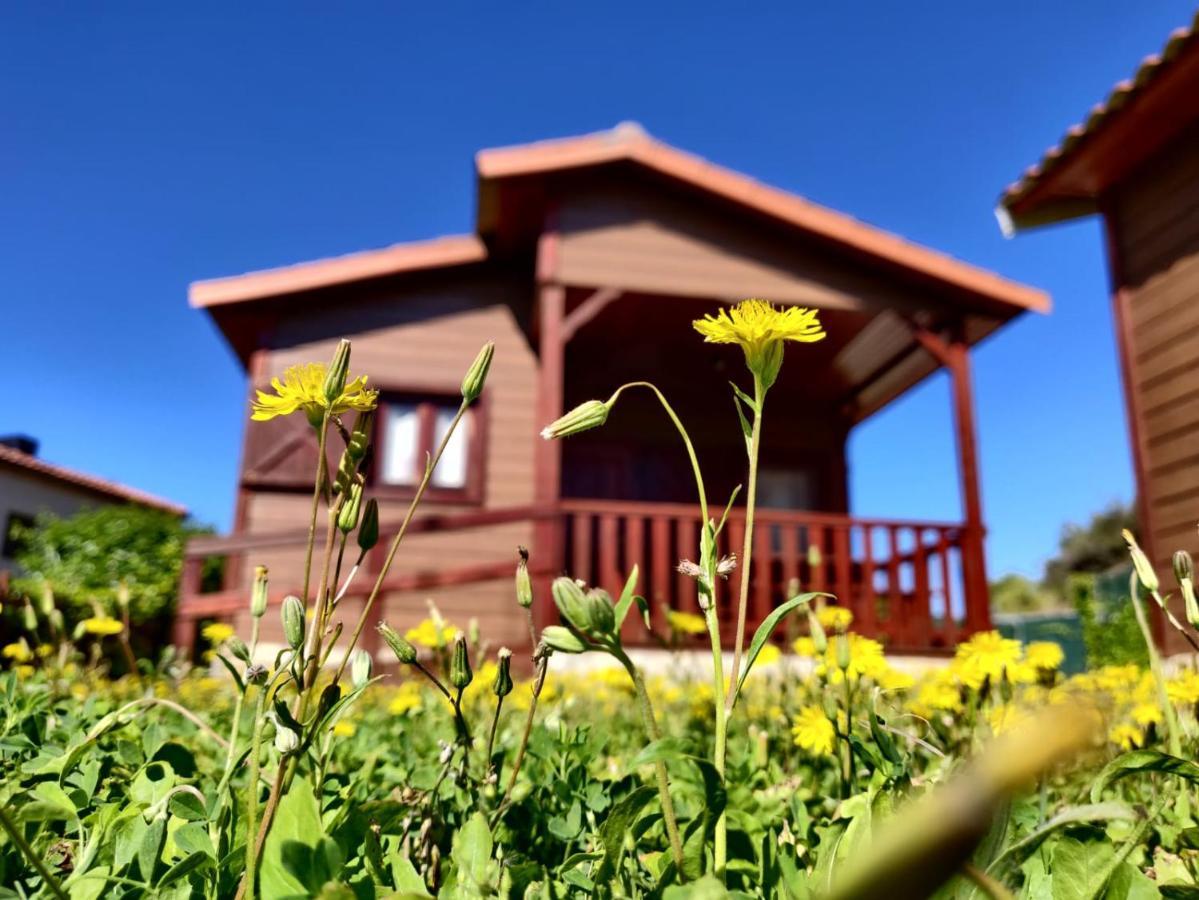 Camping Bungalow Serra De Prades Resort Vilanova de Prades Zewnętrze zdjęcie